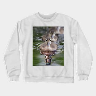 When I grow up... Crewneck Sweatshirt